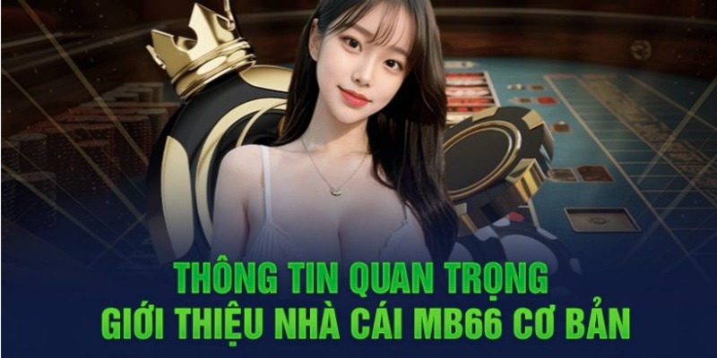 Yêu cầu đặt cược giải thưởng cấp V9bet (yêu cầu về dòng tiền) - V9bet