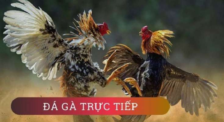 Rút tiền từ tài khoản có xếp hạng K88 của ngân hàng - K88
