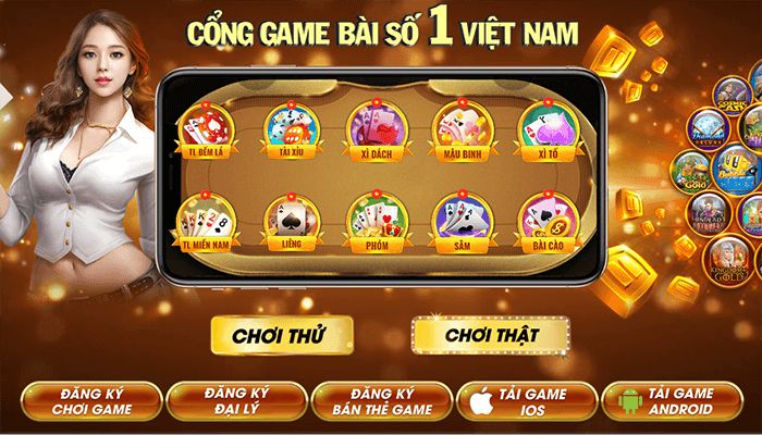 Tổng quan dữ liệu Hi88 tháng 12 năm 2026 - Hi88