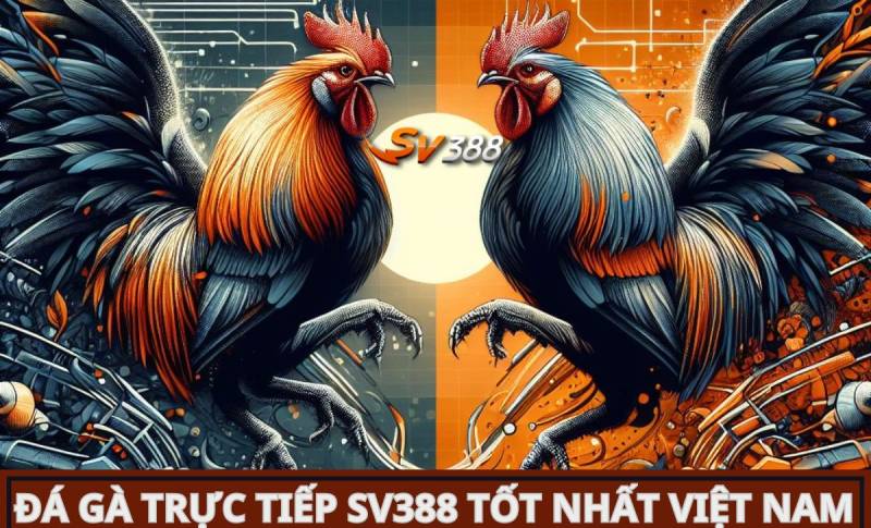 Mu88 cung cấp dịch vụ nạp và rút tiền không giới hạn mỗi ngày - Mu88