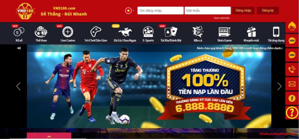 Tổng quan về Dịch vụ Cứu hộ K9win - K9win
