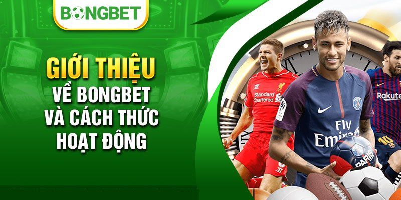 Mocbai và các câu hỏi thường gặp - Mocbai