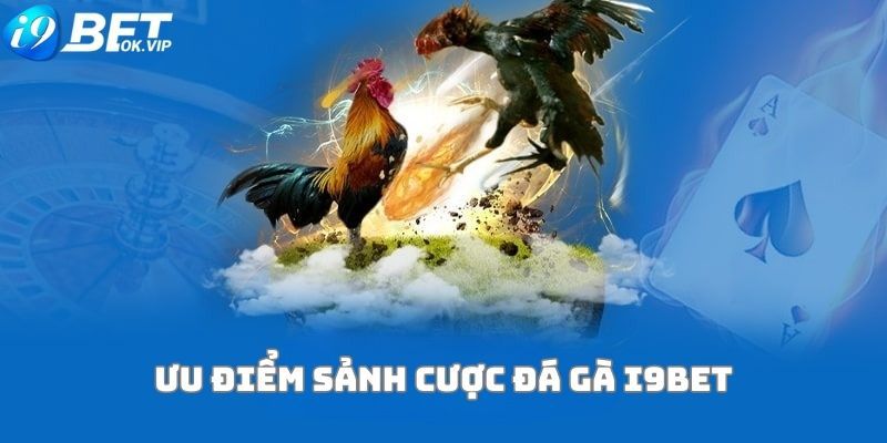 Truy cập liên kết K8cc trên máy tính của bạn - K8cc