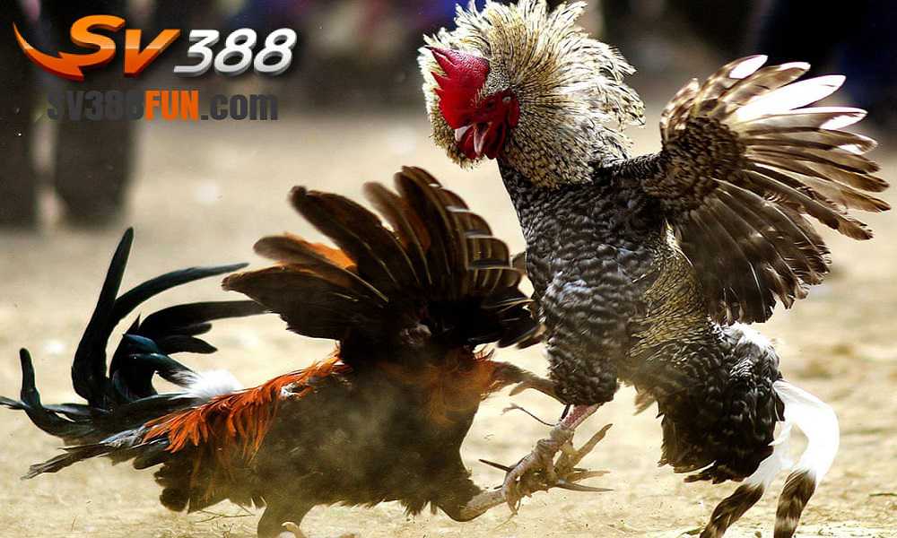 Thế giới game cấp độ F88bet, một thế giới game cao cấp bậc nhất - F88bet