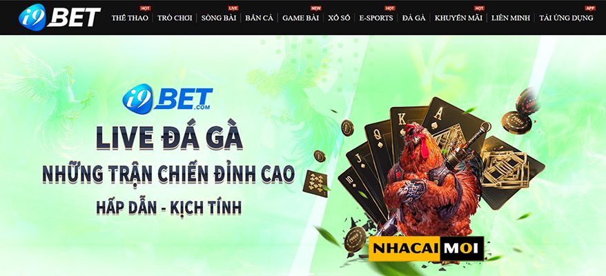 Hình ảnh từ trang web 33King Champions - 33King