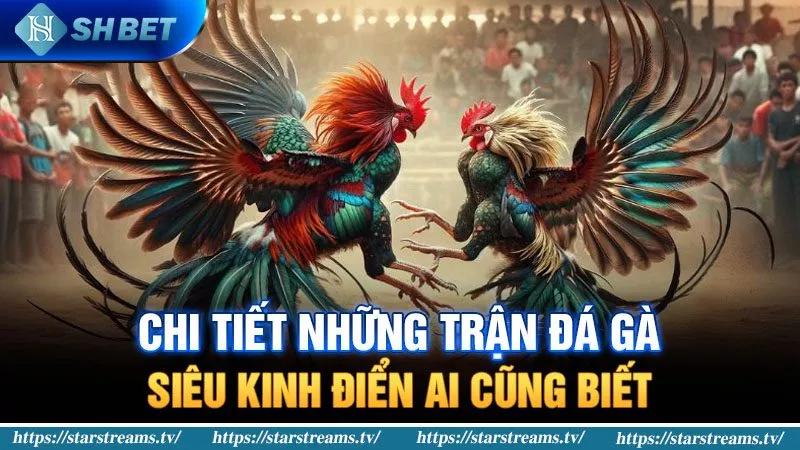 Tôi có cần xác minh tài khoản Five888 của mình không? - Five888